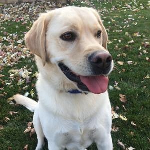 Meet your Posher, Renee